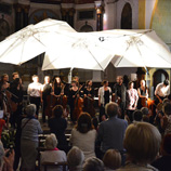 Festival Cello Fan 2015